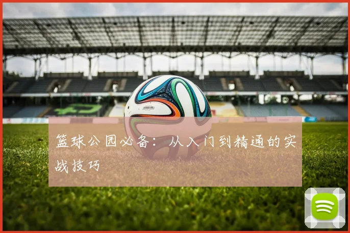 篮球公园必备:从入门到精通的实战技巧
